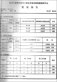 电容验电器 0113