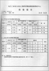 电容验电器 0113