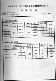 电容验电器 0113