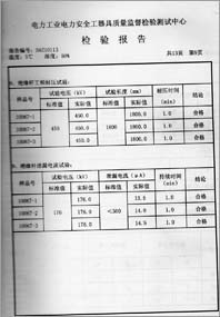 电容验电器 0113