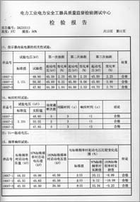 电容验电器 0113