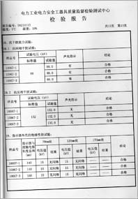 电容验电器 0113